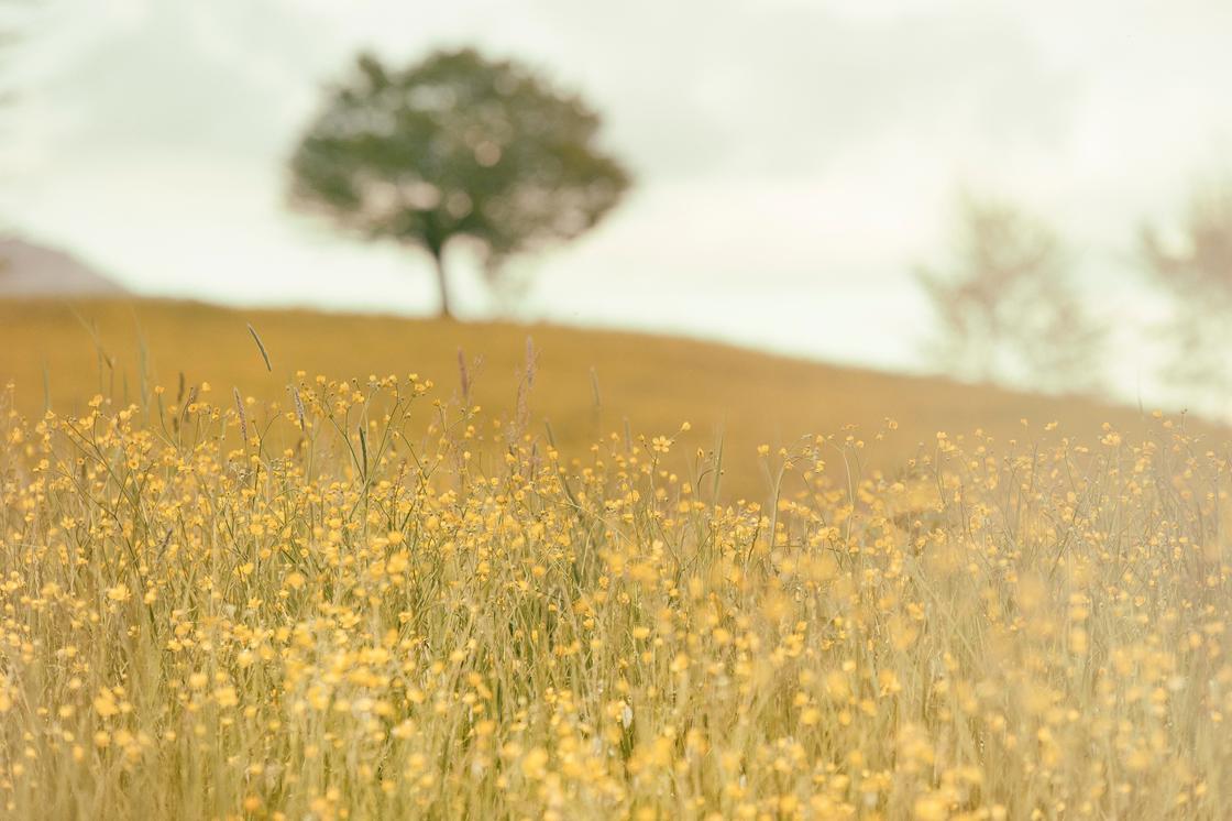 Eum consectetur ipsum dignissimos ad qui quod officiis quidem dolor